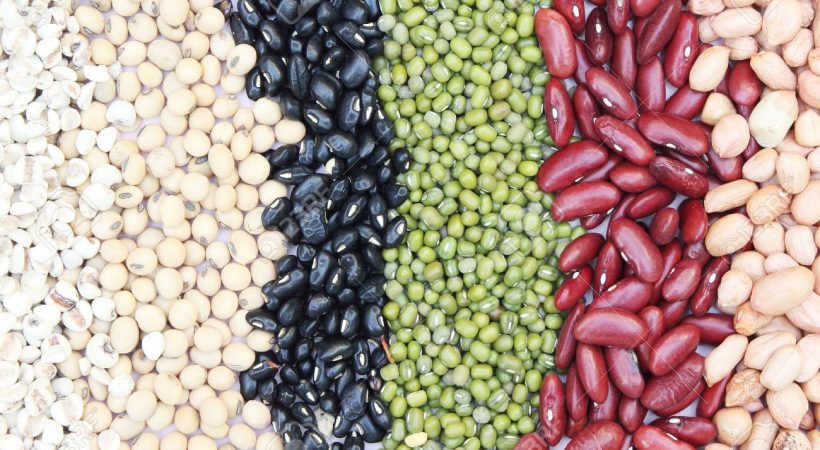 The 6 Healthiest Beans Wellness Buddha