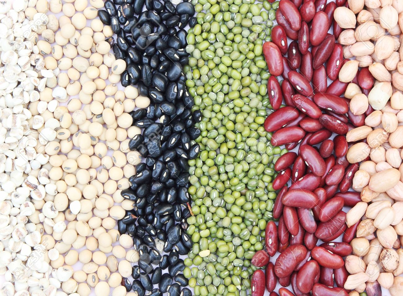 The 6 healthiest beans Wellness Buddha