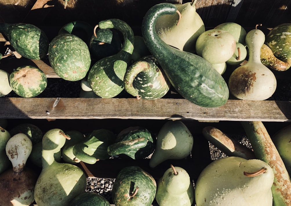 Wax gourd can reduce depression and anxiety disorder Wellness Buddha